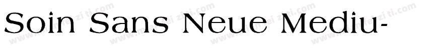 Soin Sans Neue Mediu字体转换